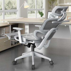 Ergonomic Office Chair